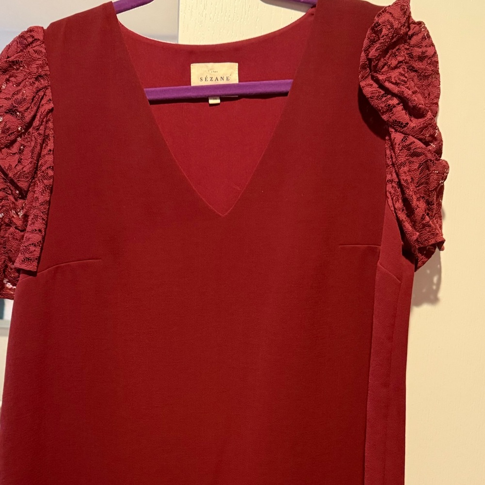 Burgundy Lace Sleeve Dress